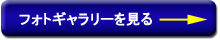 tHgM[